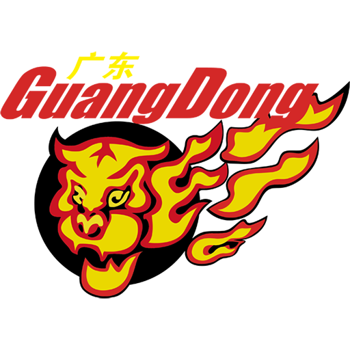 广东东阳光