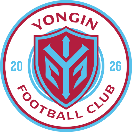 龙仁FC
